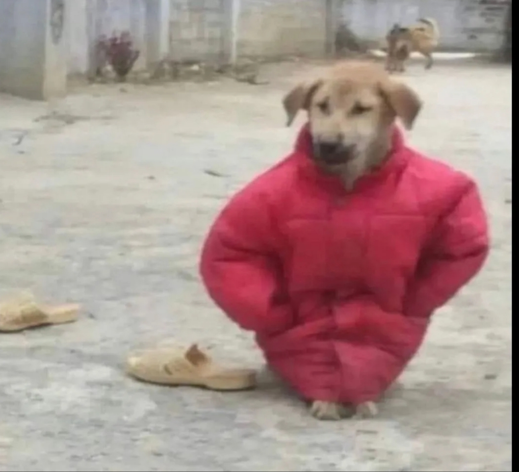 1000028768.jpg