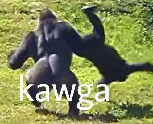 1791993712728.png