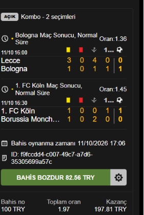 Ekran görüntüsü 2026-10-11 170644.png