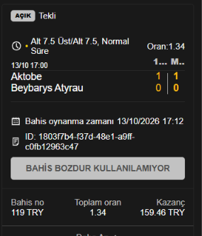 Ekran görüntüsü 2026-10-13 171221.png