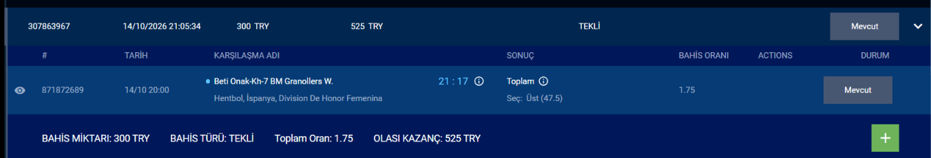 Ekran görüntüsü 2026-10-14 210651.png
