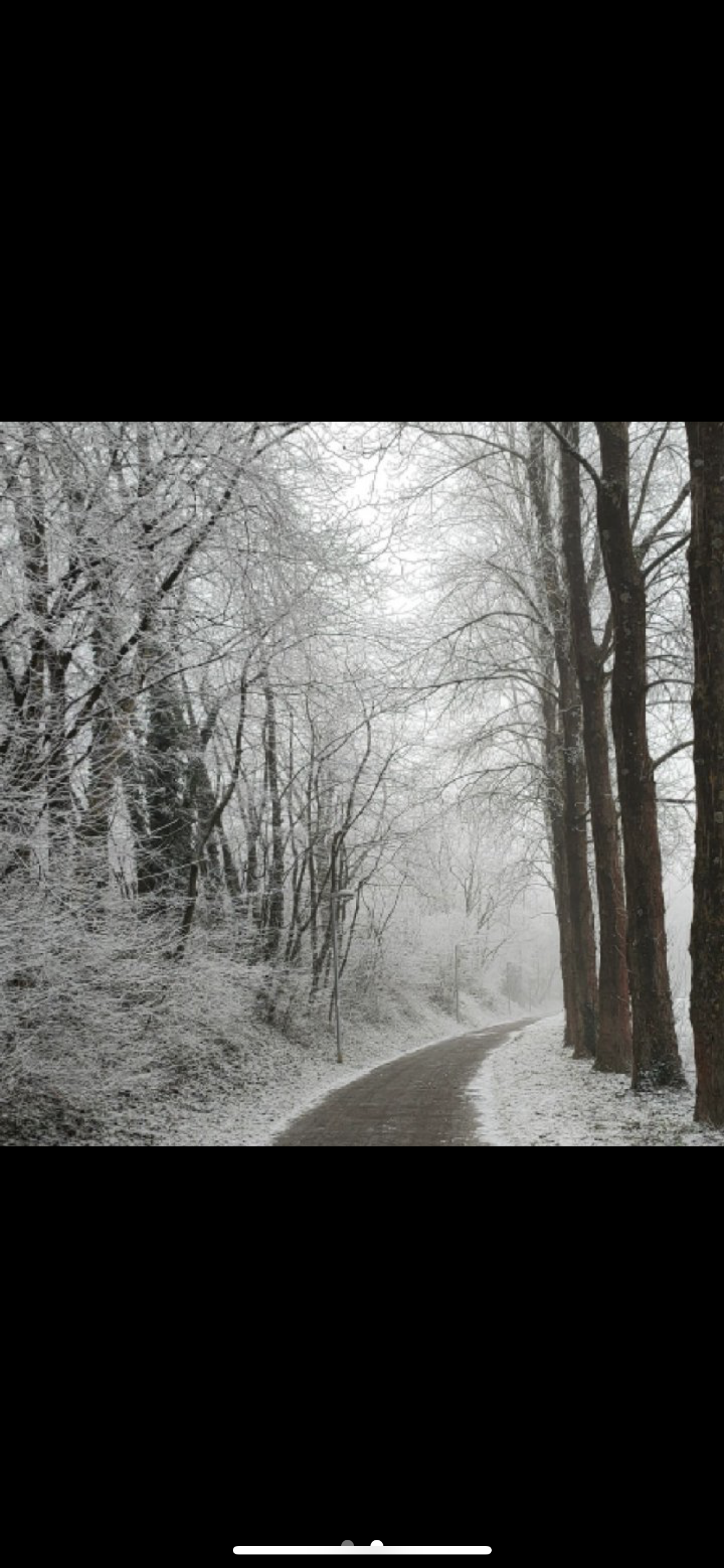 IMG_5959.png