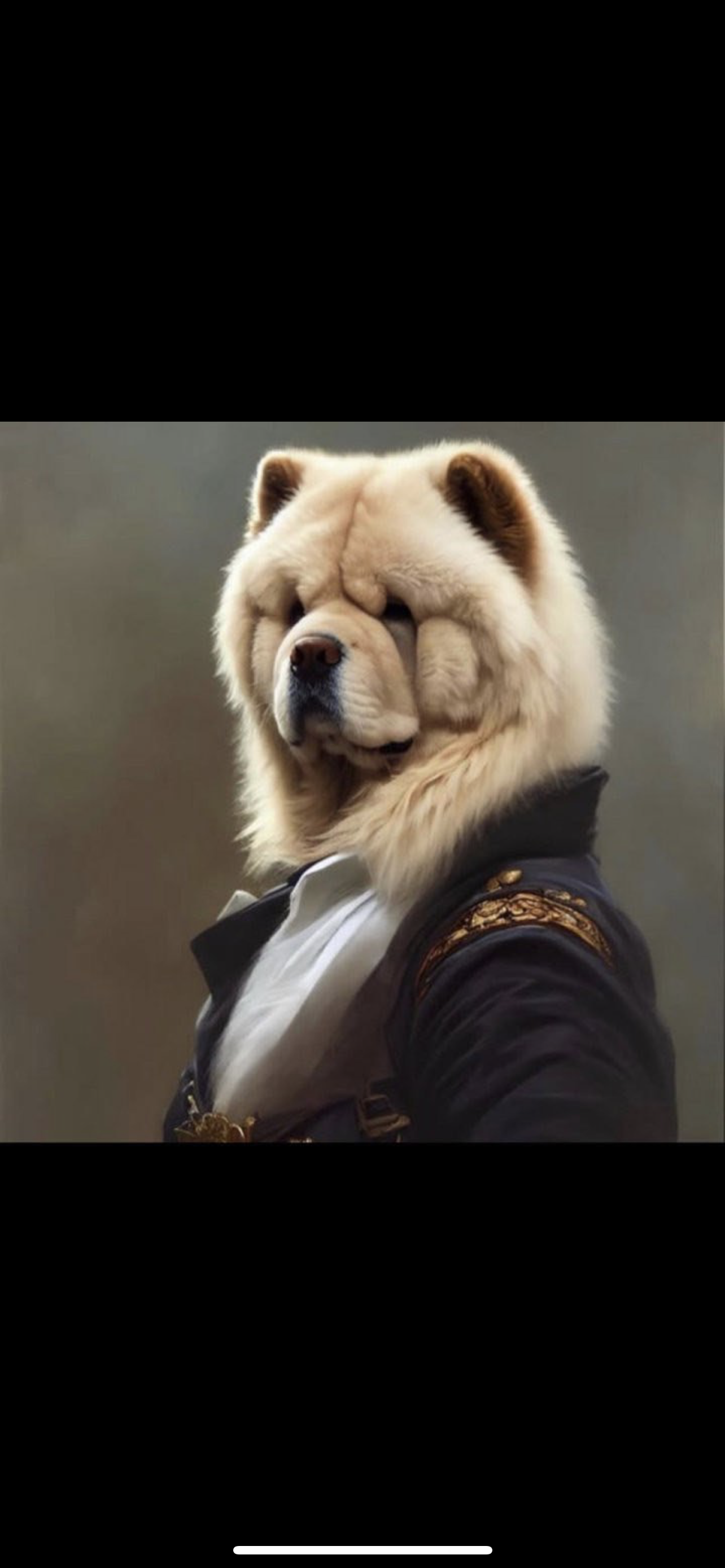 IMG_9815.png