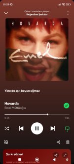 Screenshot_2026-10-11-19-59-13-625_com.spotify.music.jpg