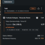Ekran görüntüsü 2026-10-11 215556.png