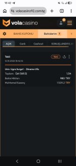 Screenshot_20261012_184228_Chrome.jpg