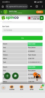 Screenshot_2026-10-12-22-24-17-487_com.android.chrome.jpg