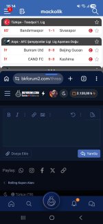 Screenshot_20261013_161428_Chrome.jpg