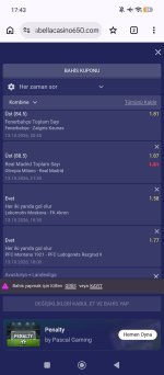 Screenshot_2026-10-13-17-43-44-086_com.android.chrome.jpg