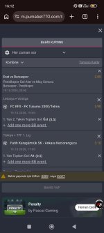 Screenshot_2026-10-19-16-12-55-349_com.android.chrome.jpg
