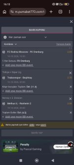 Screenshot_2026-10-19-16-13-08-635_com.android.chrome.jpg