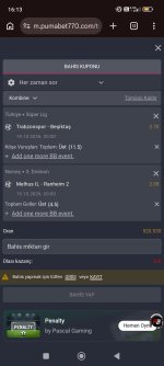 Screenshot_2026-10-19-16-13-12-855_com.android.chrome.jpg