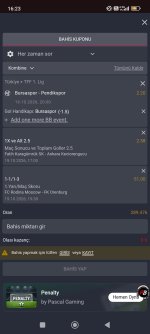 Screenshot_2026-10-19-16-23-48-053_com.android.chrome.jpg