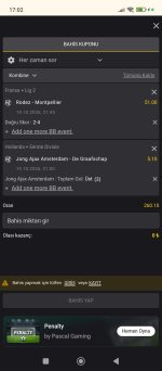 Screenshot_2026-10-19-17-02-24-390_com.android.chrome.jpg