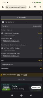 Screenshot_2026-10-19-17-07-53-840_com.android.chrome.jpg