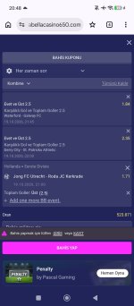 Screenshot_2026-10-19-20-48-45-921_com.android.chrome.jpg