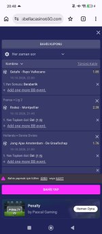 Screenshot_2026-10-19-20-48-32-773_com.android.chrome.jpg