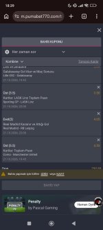 Screenshot_2026-10-21-18-39-46-295_com.android.chrome.jpg