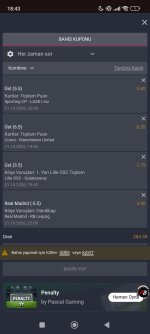 Screenshot_2026-10-21-18-43-13-478_com.android.chrome.jpg