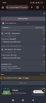 Screenshot_2026-10-21-18-57-49-689_com.android.chrome.jpg