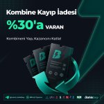 Kombine.jpg