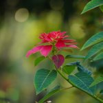 IMG_8140.jpeg