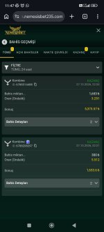 Screenshot_2026-10-28-11-47-02-187_com.android.chrome.jpg