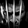 Wolverine999